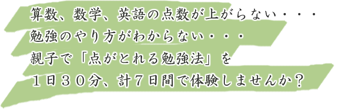 親子ノリノリ勉強法(算数、数学、英語)