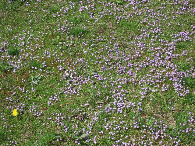 DSCF0147.JPG